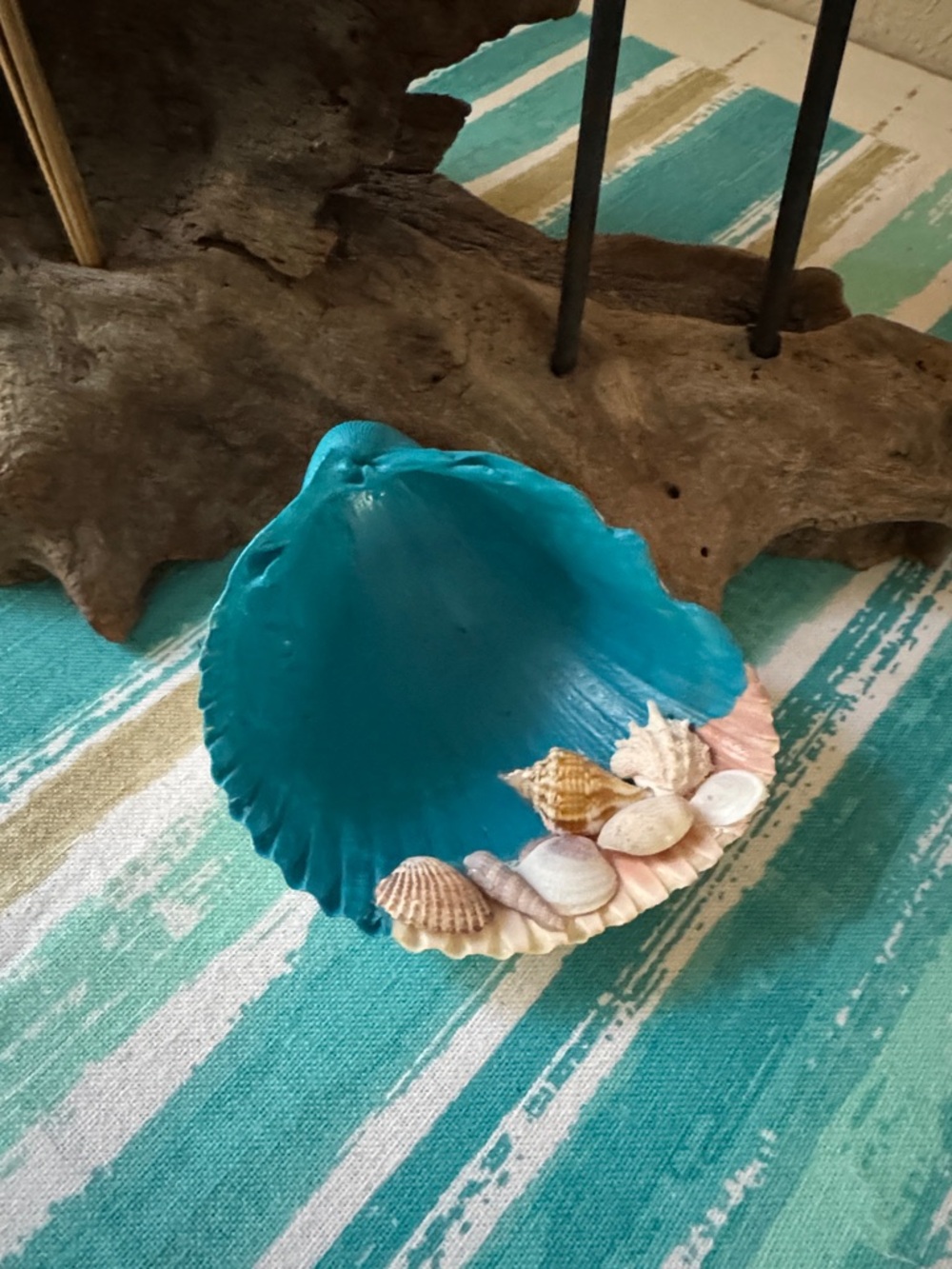 Seashell Decor - Picture 2 of 3